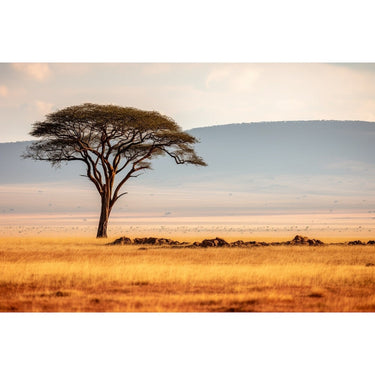 African Savannah painting